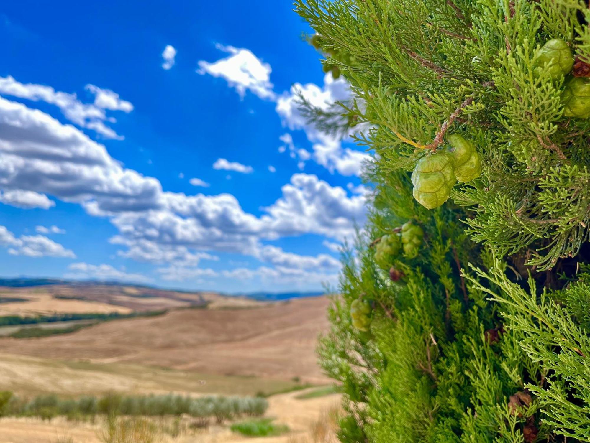 Poggiosalto In Toscana Пиенца Экстерьер фото